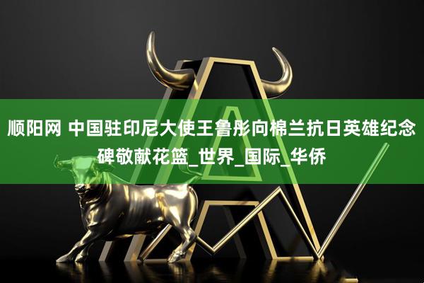 顺阳网 中国驻印尼大使王鲁彤向棉兰抗日英雄纪念碑敬献花篮_世界_国际_华侨