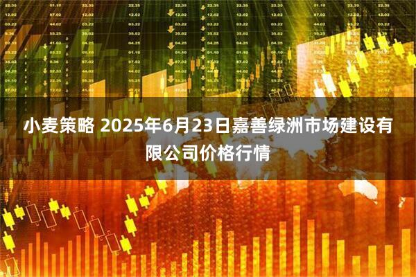 小麦策略 2025年6月23日嘉善绿洲市场建设有限公司价格行情