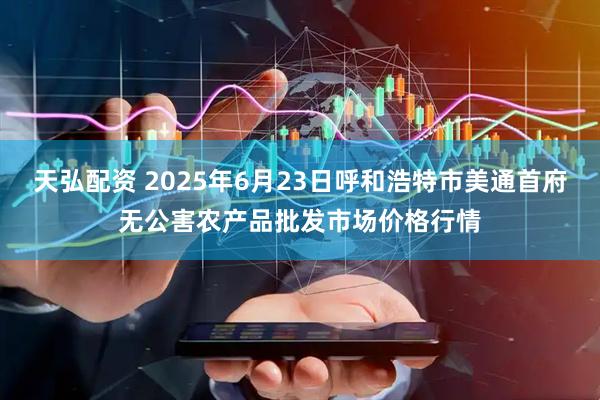 天弘配资 2025年6月23日呼和浩特市美通首府无公害农产品批发市场价格行情