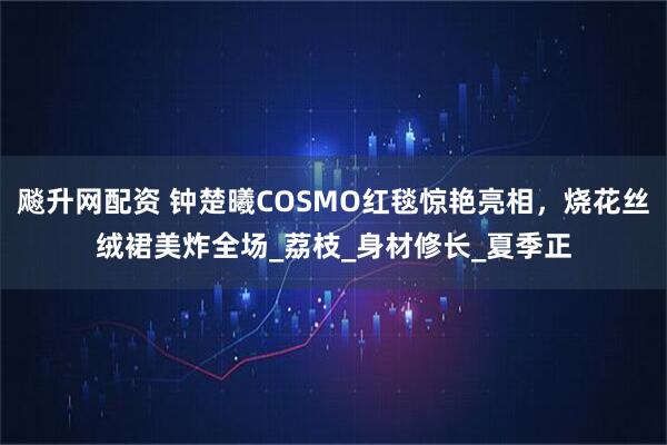 飚升网配资 钟楚曦COSMO红毯惊艳亮相，烧花丝绒裙美炸全场_荔枝_身材修长_夏季正