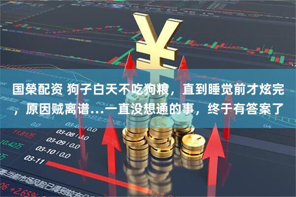 国榮配资 狗子白天不吃狗粮，直到睡觉前才炫完，原因贼离谱…一直没想通的事，终于有答案了